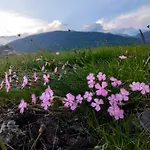 Il Posto Al Sole Oda ve Kahvaltı 4*