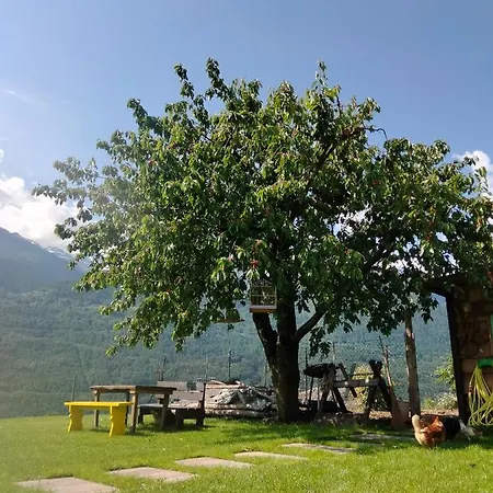 Il Posto Al Sole Bed and Breakfast Teglio