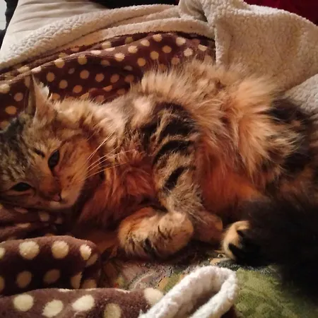 Il Posto Al Sole 3* Teglio