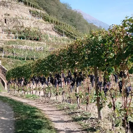 Il Posto Al Sole 4* Teglio