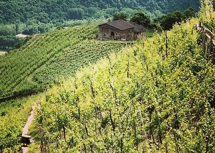 Il Posto Al Sole Teglio