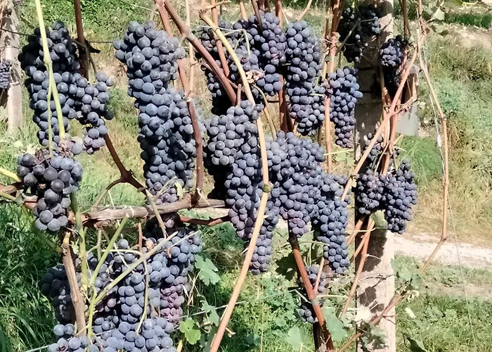 Il Posto Al Sole 4* Teglio