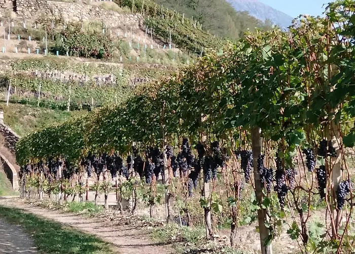 Il Posto Al Sole 4* Teglio