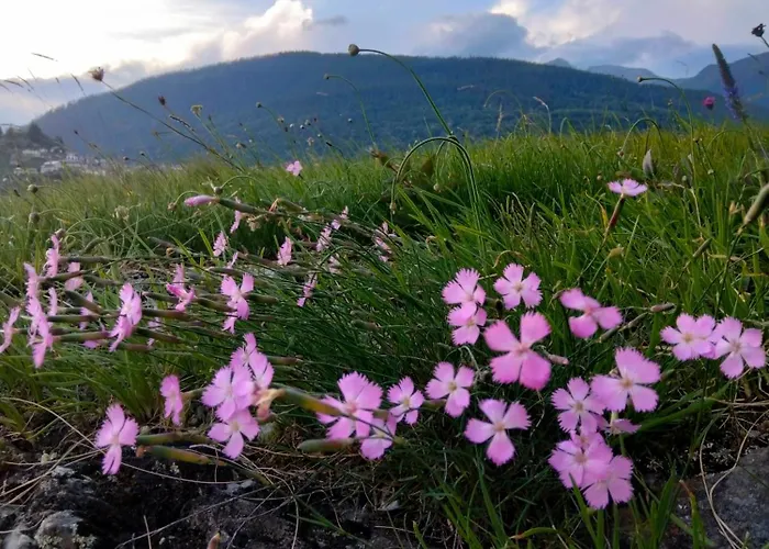 Il Posto Al Sole Bed & Breakfast 3*