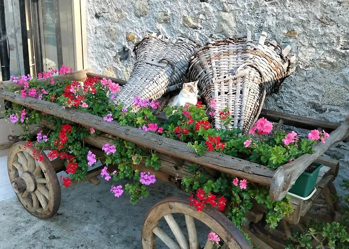 Il Posto Al Sole 4*