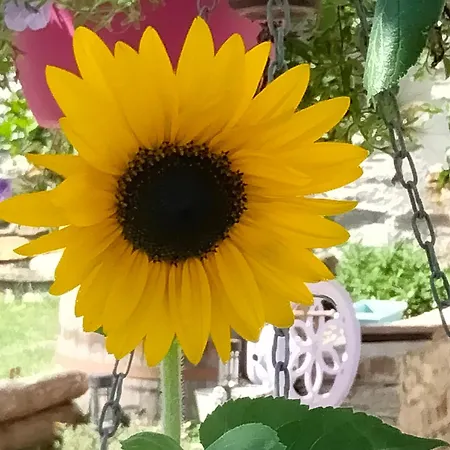 Il Posto Al Sole 4* 테글리오